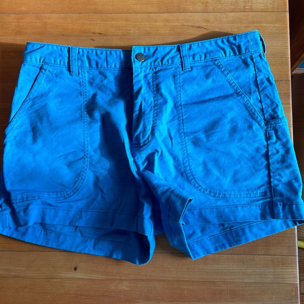Blue Patagonia stand up shorts